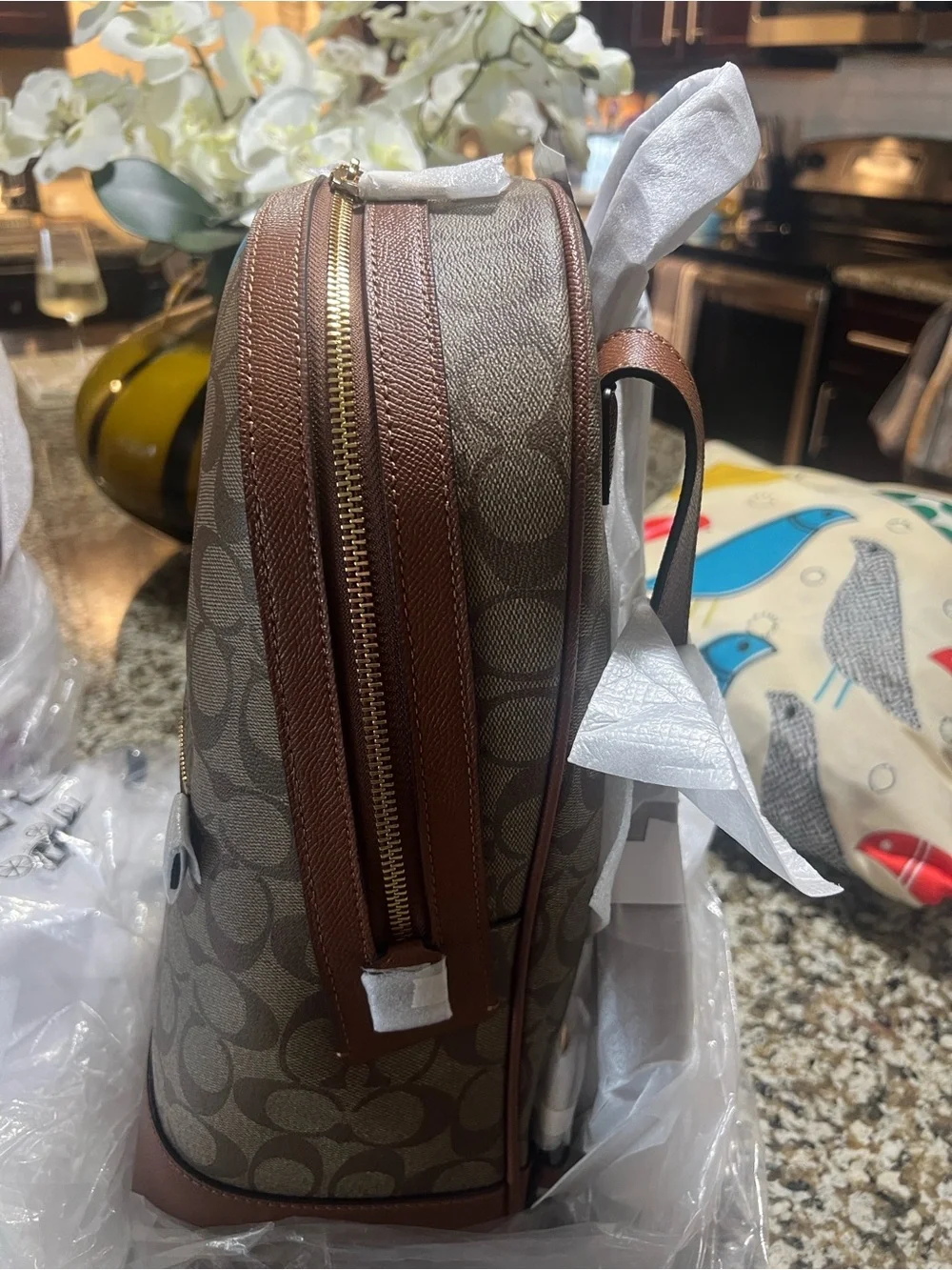 Coach Brown Signature Backpack with Multicolor Vertical Stripes